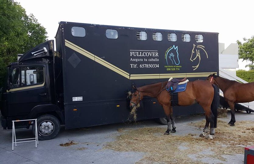 Transporte ida y vuelta