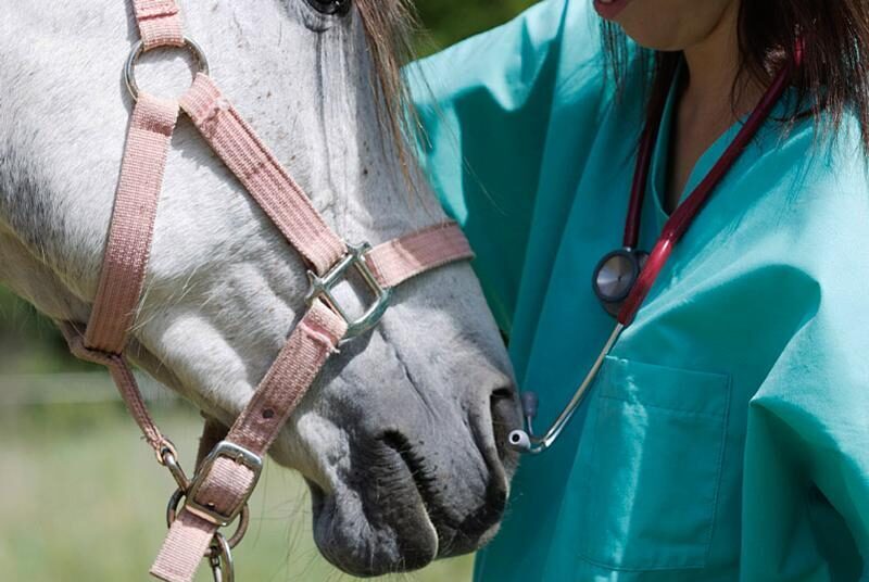 Cobertura del cólico no quirúrgico