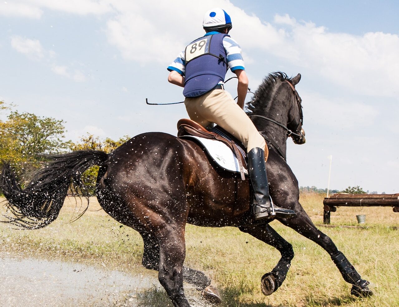 Velocidad y agilidad