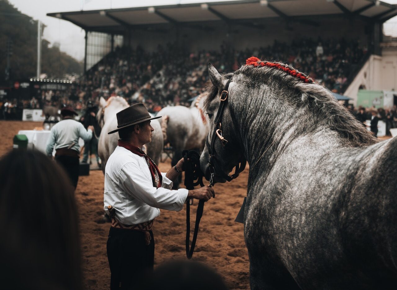 Responsabilidad Civil 